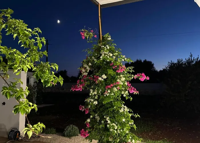 度假居 Tenuta Buganvillea -private Pool 奥斯图尼